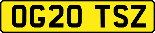 OG20TSZ
