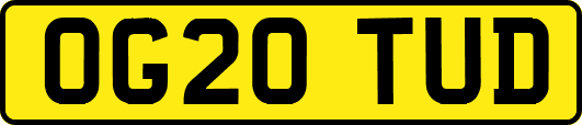 OG20TUD