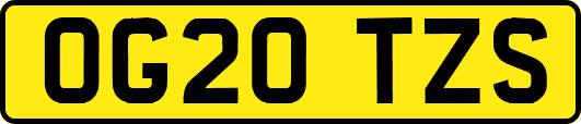 OG20TZS