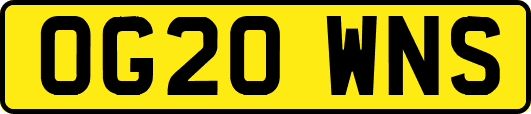 OG20WNS