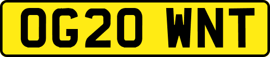 OG20WNT
