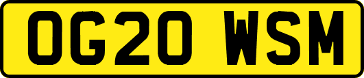 OG20WSM