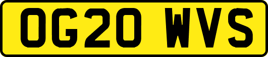 OG20WVS