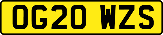 OG20WZS
