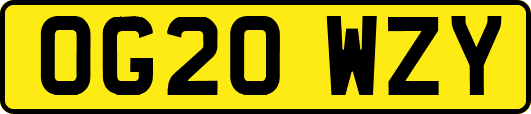 OG20WZY