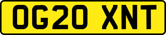 OG20XNT