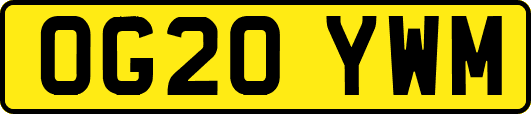 OG20YWM