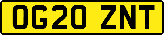 OG20ZNT