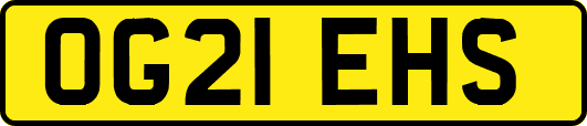 OG21EHS