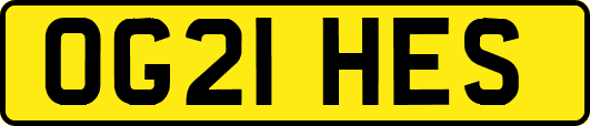 OG21HES