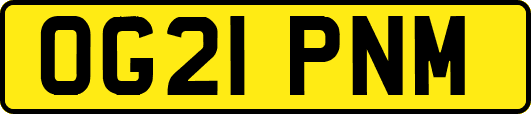 OG21PNM