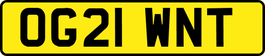 OG21WNT