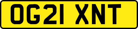 OG21XNT