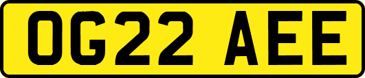 OG22AEE