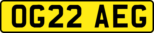 OG22AEG