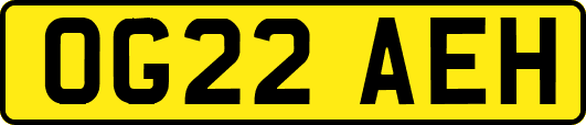 OG22AEH
