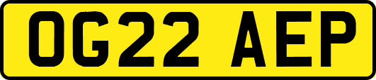 OG22AEP