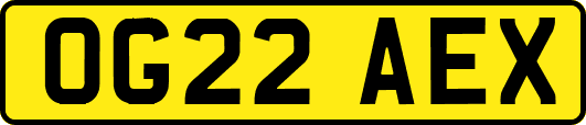 OG22AEX