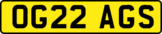 OG22AGS
