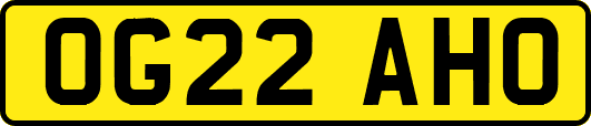 OG22AHO