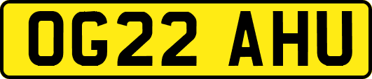 OG22AHU