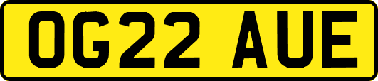 OG22AUE