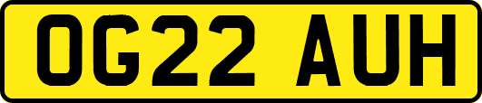 OG22AUH