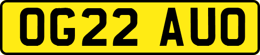 OG22AUO