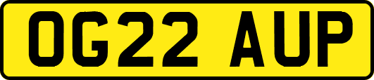 OG22AUP