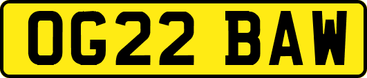 OG22BAW