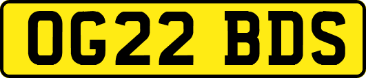 OG22BDS