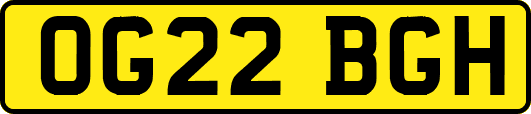 OG22BGH