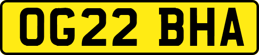 OG22BHA