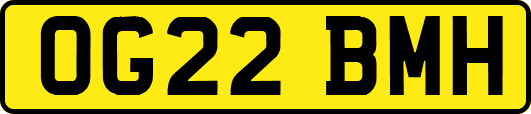 OG22BMH