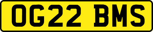 OG22BMS