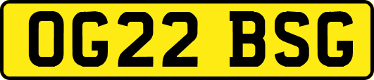 OG22BSG