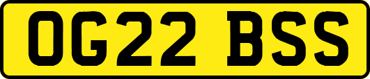 OG22BSS