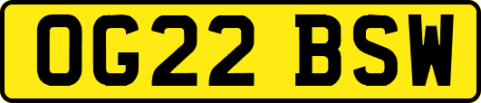OG22BSW