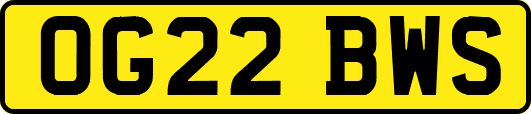 OG22BWS