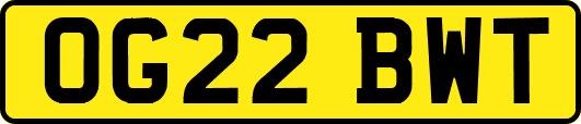 OG22BWT