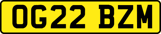 OG22BZM