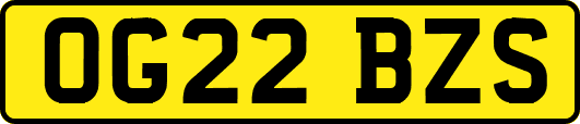 OG22BZS