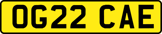 OG22CAE