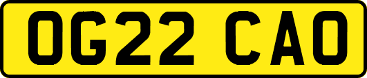 OG22CAO