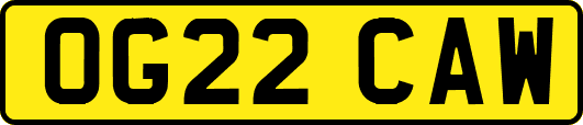 OG22CAW