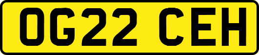 OG22CEH