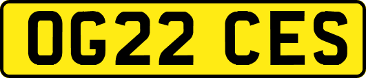 OG22CES