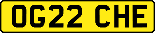 OG22CHE
