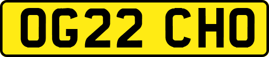 OG22CHO