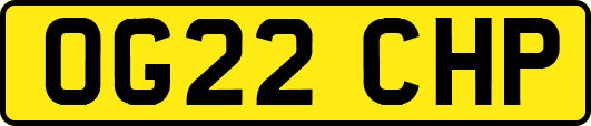 OG22CHP